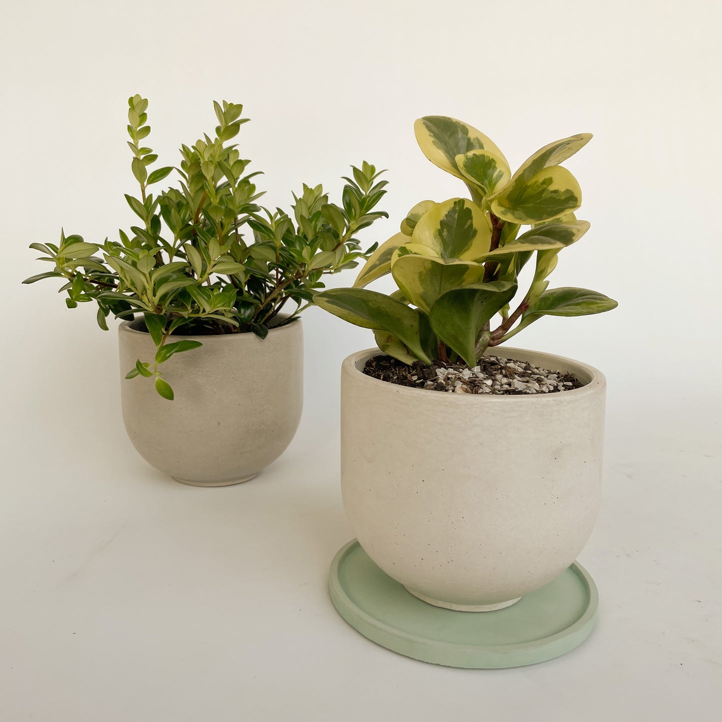 Bowl Circular M