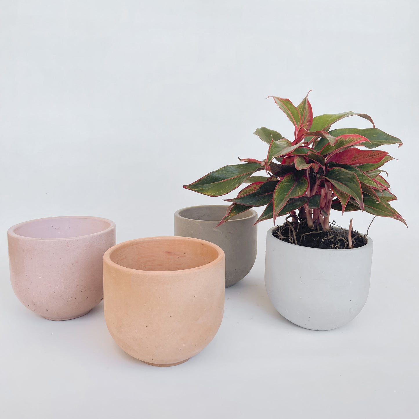 Bowl Circular M